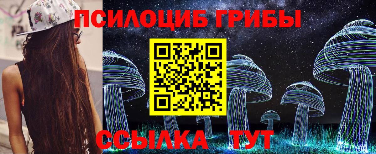 Гусиноозёрск  Псилоцибиновые грибы Psilocybine cubensis  Галлюциногенные грибы Psilocybe  наркотики  Вход с VPN 